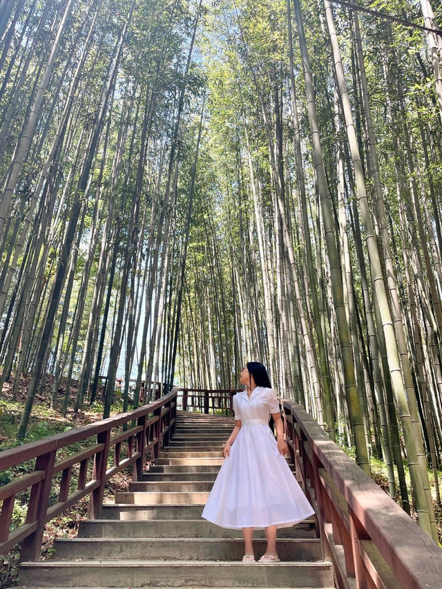 🎋 인생 첫 담양 여행 죽녹원 다녀왔어요!💚