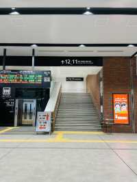 【鉄道旅】鉄道好きなら一度は乗りたい！西九州新幹線