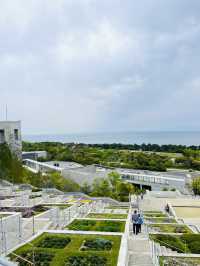 【淡路島観光】海を見渡せる100個の花壇の花々に癒される🌸🌼