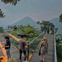 THE UPPER CLIFT | RESORT & CAFE 