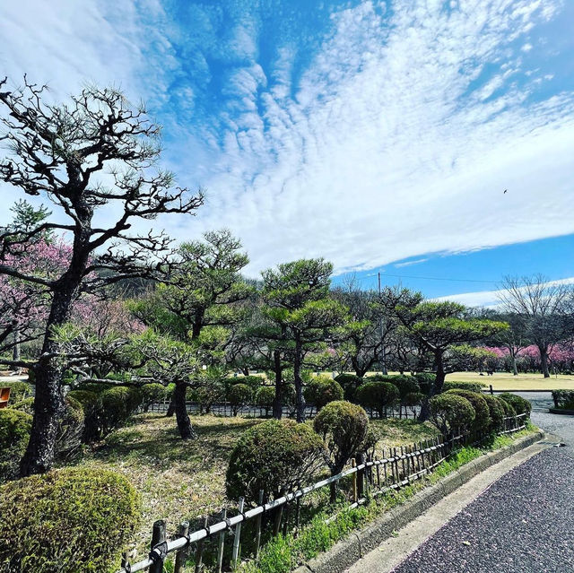 梅林公園