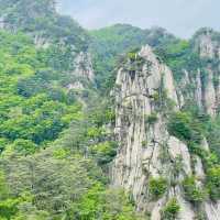 吹田山：春天花海，適合春天漫步