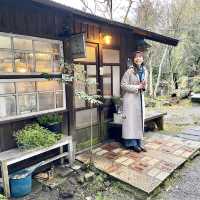 必去阿蘇神社、阿蘇門前町商店街