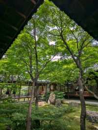 日本京都-栩栩如生的雙龍壁畫：建仁寺