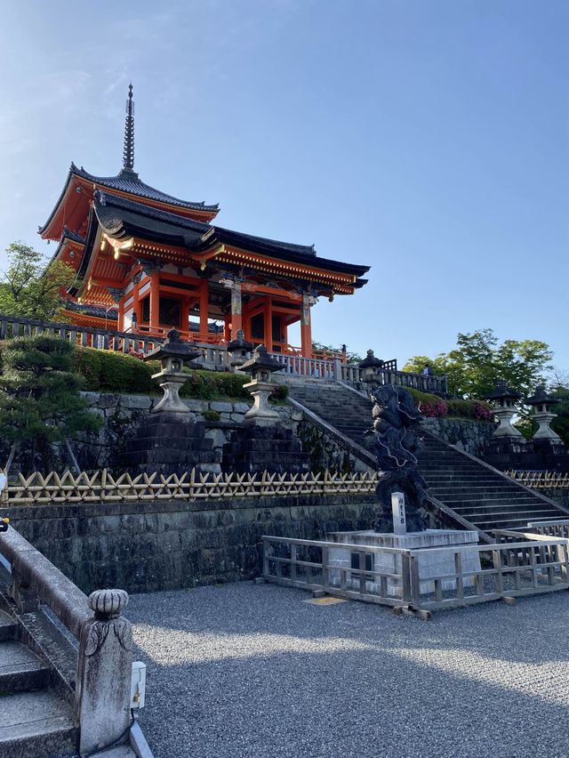 【京都】京都市街を一望