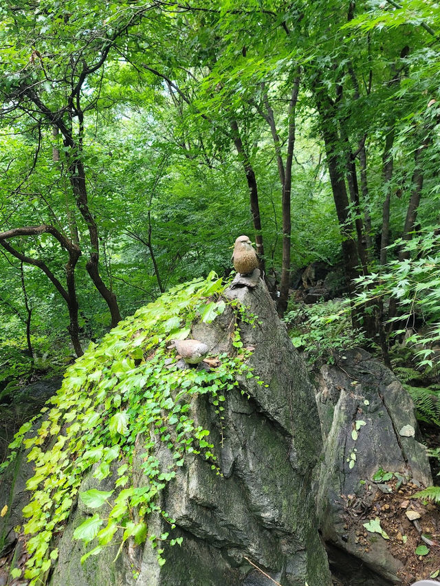 Hwadam Botanical Garden