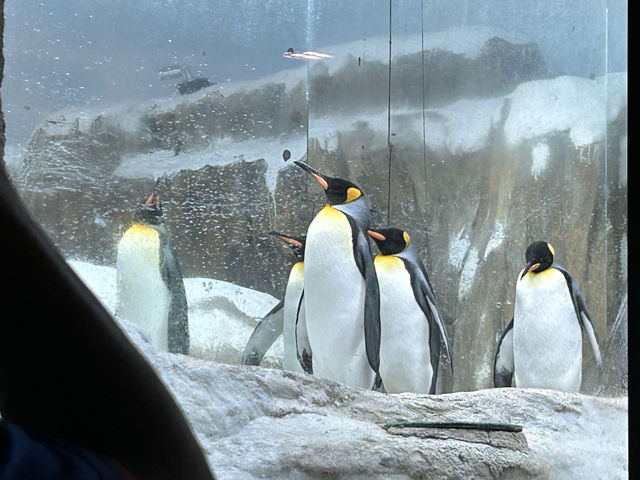 臺北市立動物園 Taipei Zoo