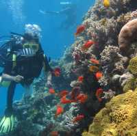 Scuba Diving in Hurghada