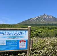 漂亮的利尻島，一個剛去完已想再去的地方