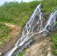 阿拉斯加-朱諾山大環線跑旅