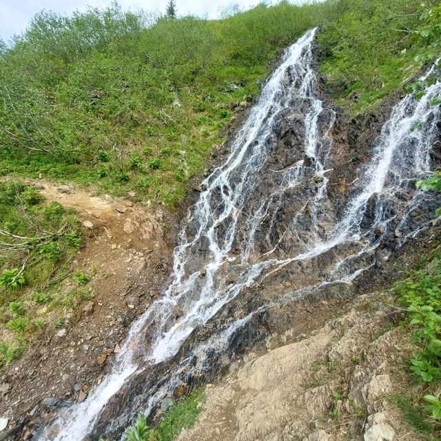 阿拉斯加-朱諾山大環線跑旅
