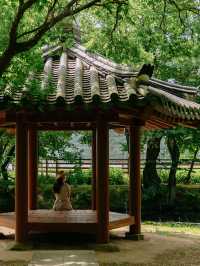 경남 사진찍기 좋은 여행지, 고성 장산숲🌳