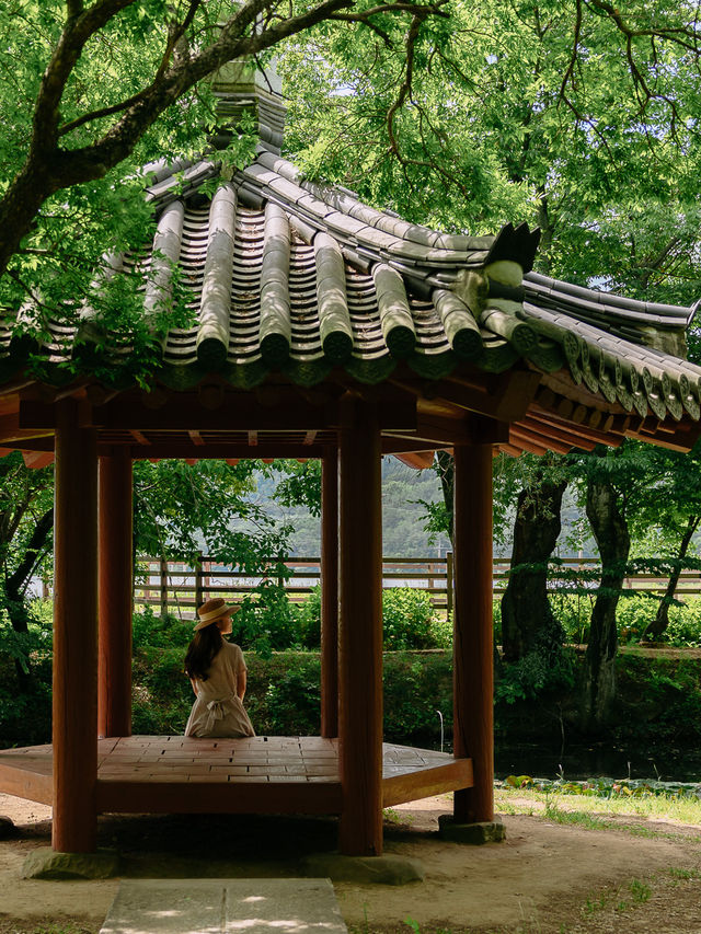 경남 사진찍기 좋은 여행지, 고성 장산숲🌳