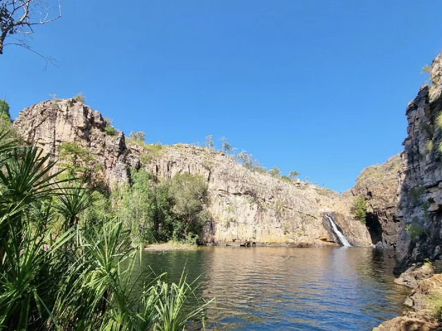 Yellow Water Cruise and Darwin Stay