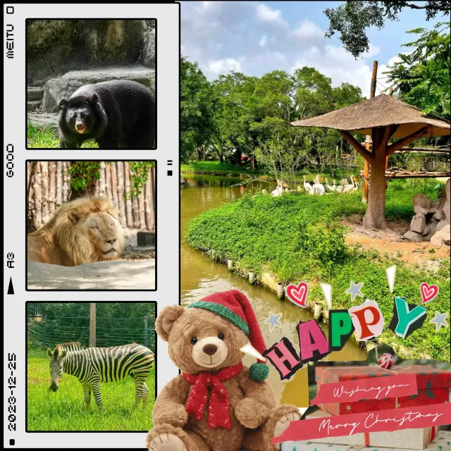 高雄壽山動物園:珍稀動物近距離觀察