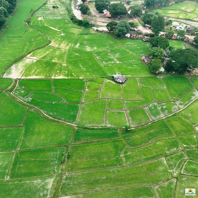 เมืองคอง เมืองคอง