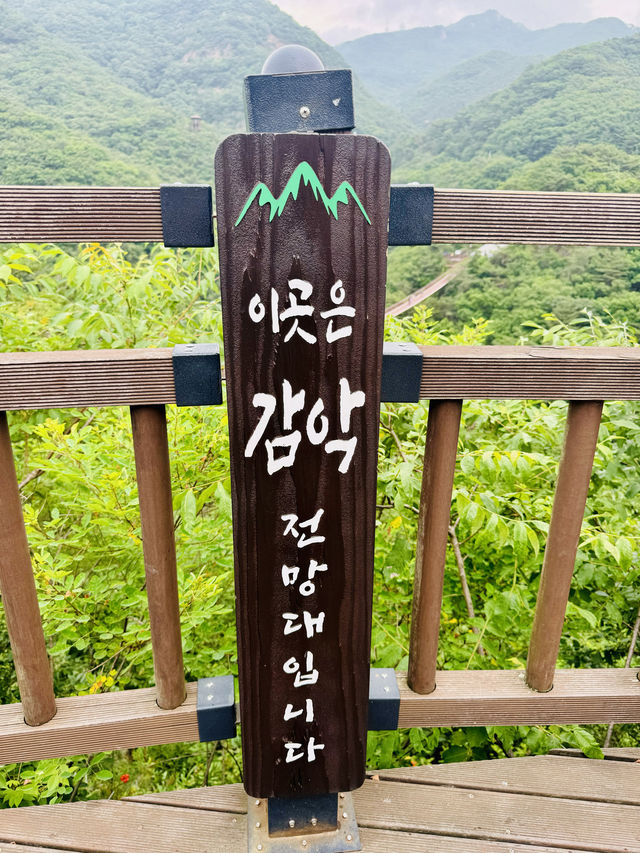 韓国の赤い吊り橋【Gamaksan Suspension Bridge】でスリル満点の絶景体験！🇰🇷