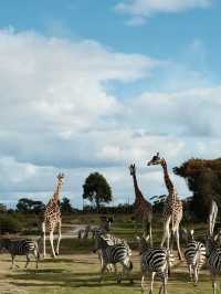 Werribee