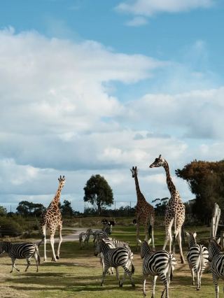 Werribee