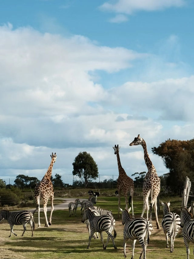 Werribee