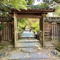 〜京都府宇治市〜日本最古の神社！世界遺産宇治上神社