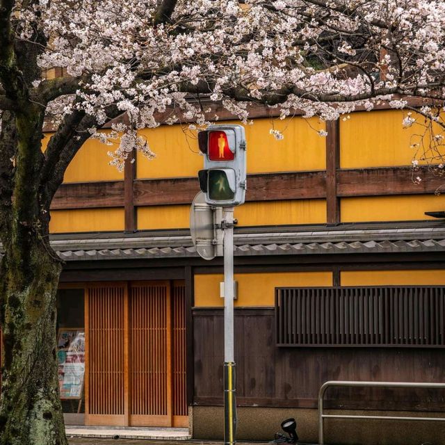 Explore Kyoto City Streets 🚶‍♂️✨