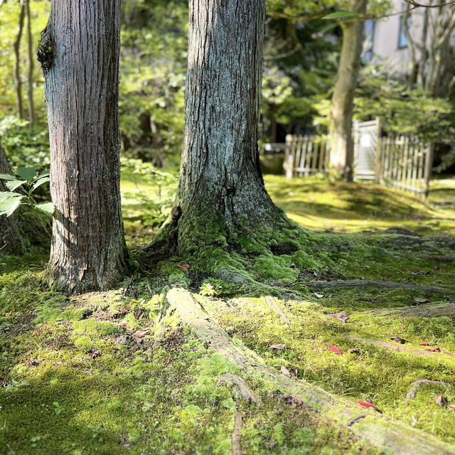 「法師」：千年溫泉旅館，庭院數一數二
