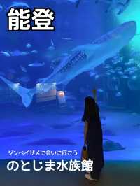 【能登】ジンベイザメに会える幻想的な水族館