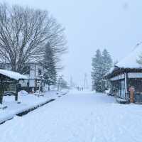 「山形藏王樹冰」1月下旬至2月最佳觀賞時期，優惠套票限時推出！