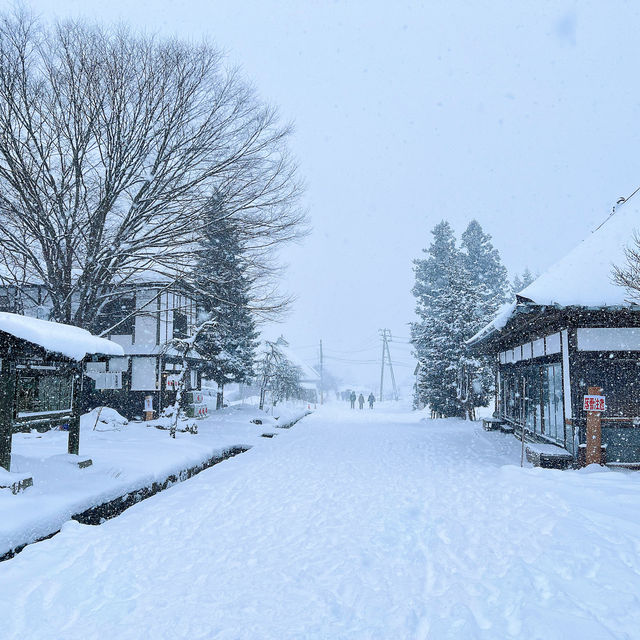 「山形藏王樹冰」1月下旬至2月最佳觀賞時期，優惠套票限時推出！