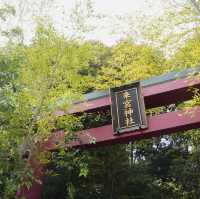 熱海避暑好去處🏖️ 來宮神社尋幽探秘
