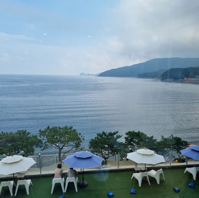 국내 여름휴가지로 강추하는 진도쏠비치😎👙