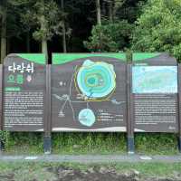 제주여행🏝️ 열세번째 오름, 거대한 분화구의 다랑쉬 오름🌕