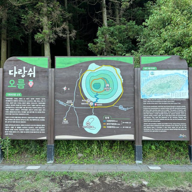 제주여행🏝️ 열세번째 오름, 거대한 분화구의 다랑쉬 오름🌕