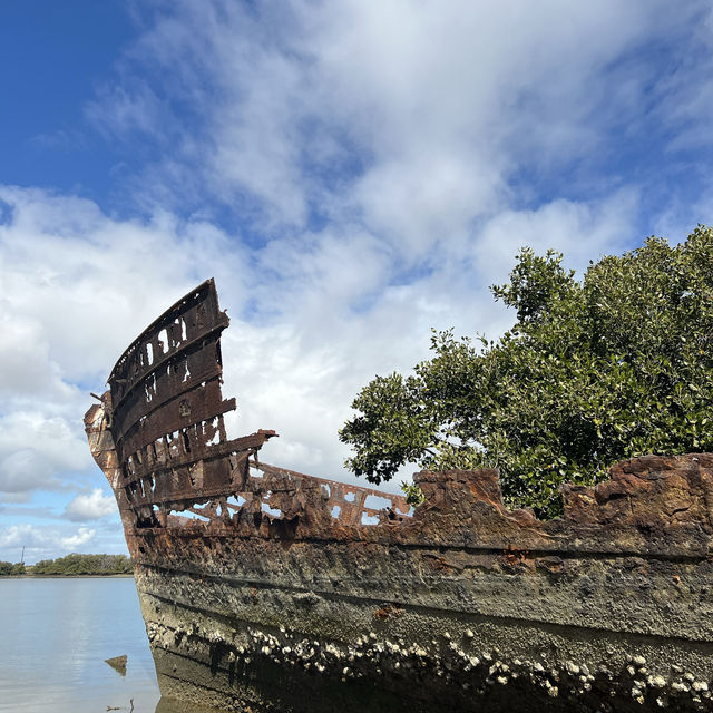 Amazing shipwreck in port Adelaide!📍🛳️🏴‍☠️⭐️
