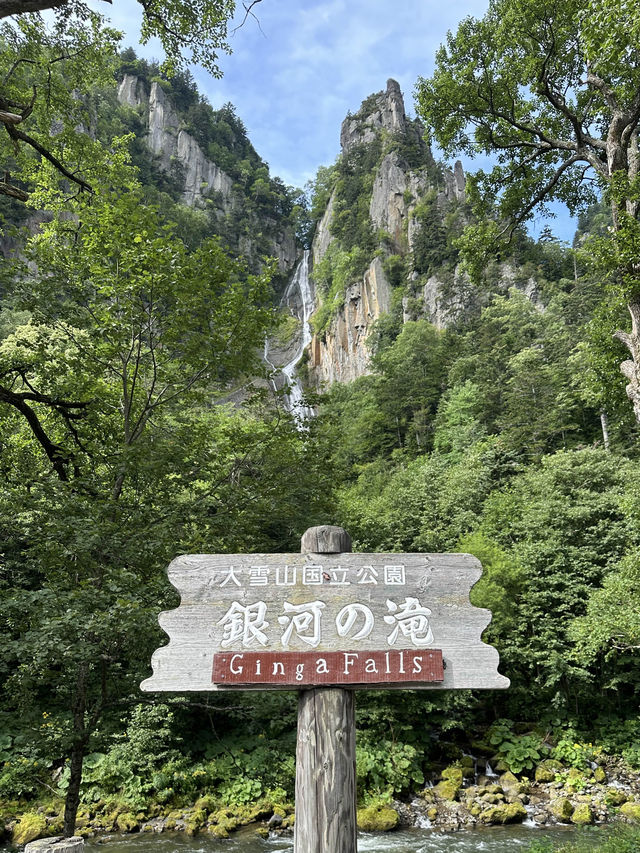 💚 홋카이도의 여름 산의 자연경관을 흠뻑 느껴보실 수 있는 명승지 스팟 🏞️💚