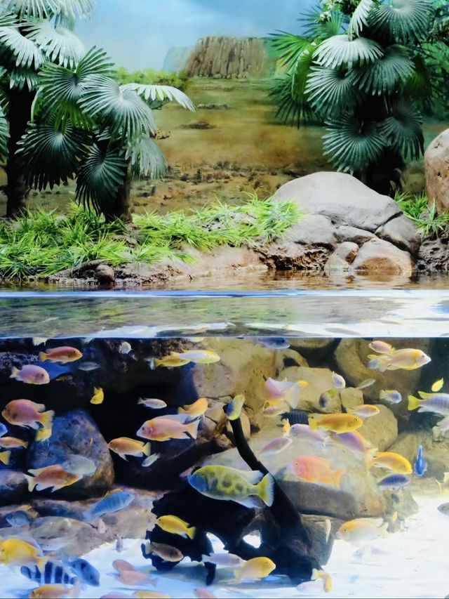 SHANGHAI OCEAN AQUARIUM 🐟