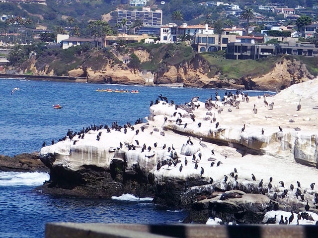 San Diego La Jolla🇺🇸