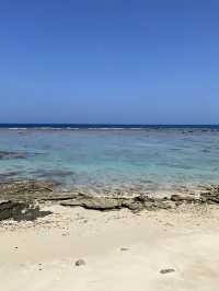 【奄美】大事に守られてきた海