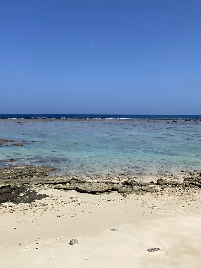 【奄美】大事に守られてきた海