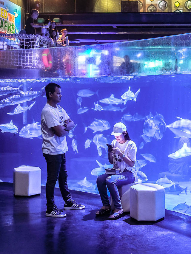 พาไปชมโลกใต้ท้องทะเลที่ Aquaria Phuket 🐧🐠