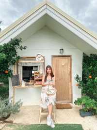 JINJU the orange farm สวนส้มเชียงใหม่ฟีลเกาหลี