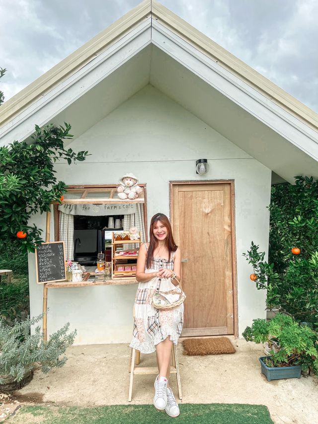 JINJU the orange farm สวนส้มเชียงใหม่ฟีลเกาหลี