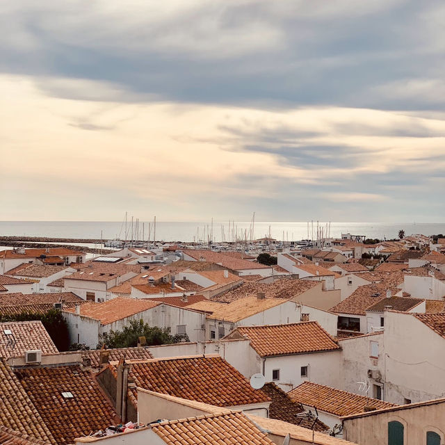 Discover the Untamed Beauty of the Camargue - France’s Wild Heart of Flamingos, Horses