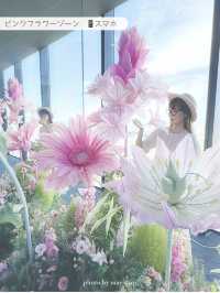 【東京/渋谷】小人になったような世界観〜期間限定〜