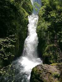 Finally Saw the Multnomah Falls