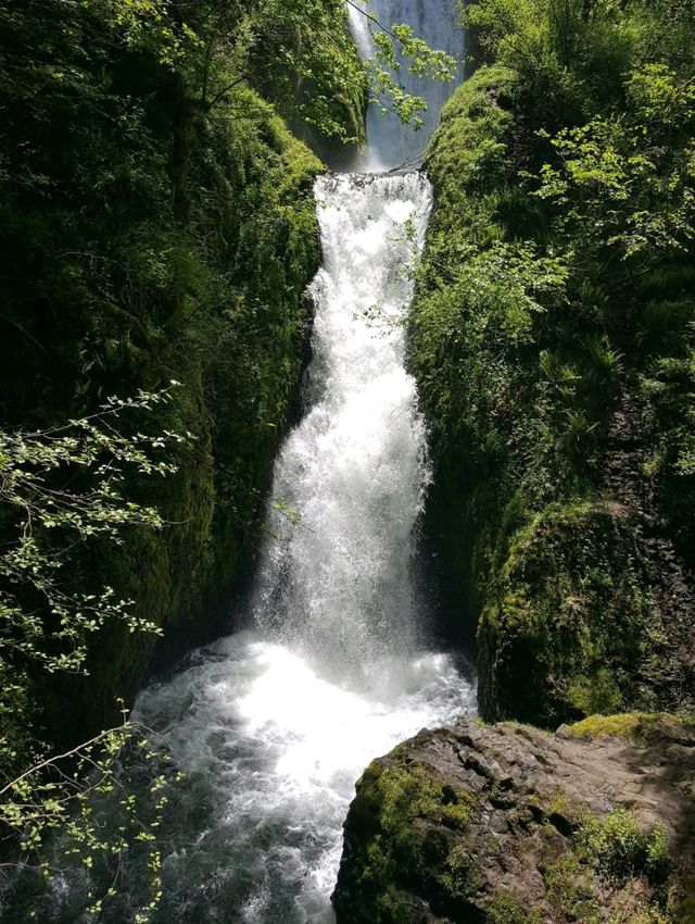 Finally Saw the Multnomah Falls