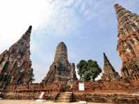 แต่งชุดไทยเป็นออเจ้า ถ่ายรูปสวยๆ ที่วัดไชยวัฒนาราม
