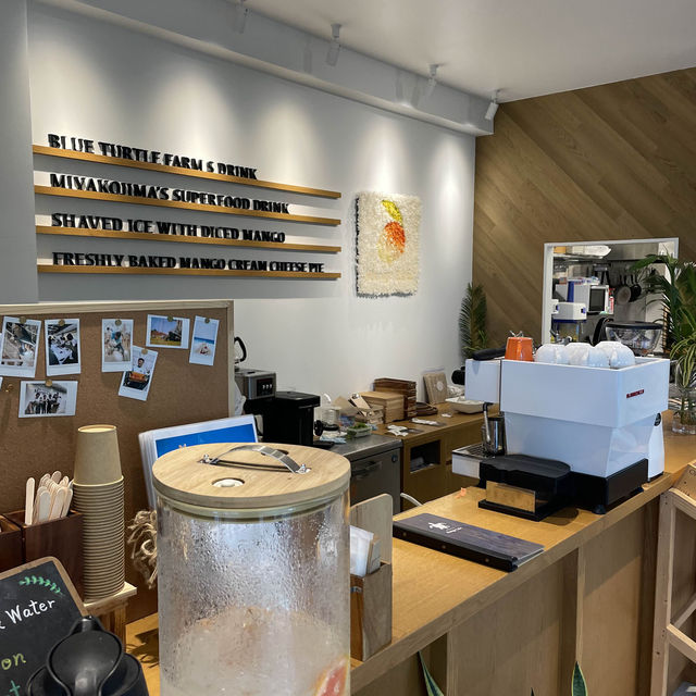 【宮古島】南国風の超おしゃれカフェ☕️🌺🌴
