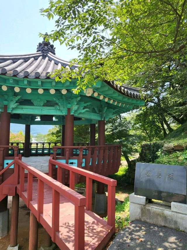 장성 배롱나무는 이제 여기입니다